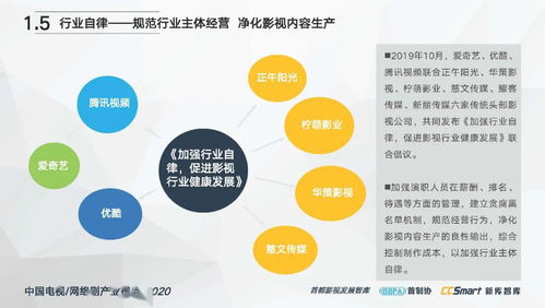 中国电视 网络剧产业报告2020