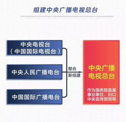 今天董卿 撒贝宁 尼格买提到 新单位 上班了