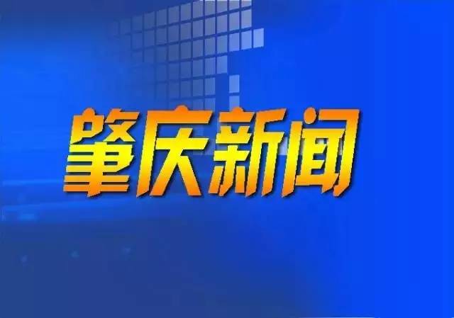 全肇庆人,这才是迅速接收市委市政府声音的正确姿势